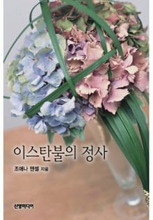 이스탄불의 정사