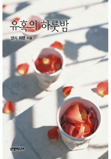 유혹의 하룻밤