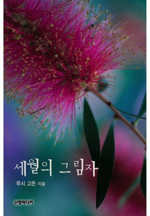 세월의 그림자 표지 이미지