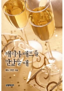 해리가 매트를 만났을 때