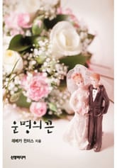 운명의 끈 표지 이미지