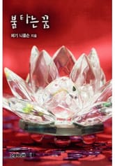 불타는 꿈 표지 이미지