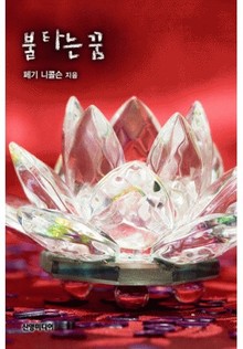 불타는 꿈