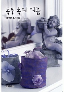 폭풍 속의 여름