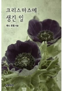 크리스마스에 생긴 일(♣ 크리스마스 특집)