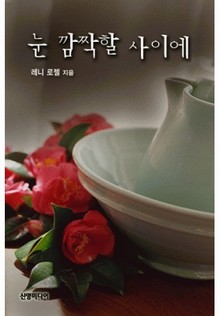 눈 깜짝할 사이에
