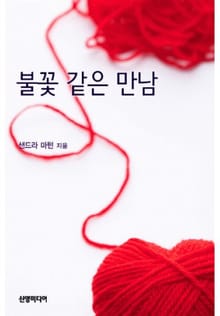 불꽃 같은 만남