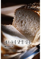 베로나의 낯선 신사 표지 이미지