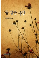 꿈 같은 사랑 표지 이미지