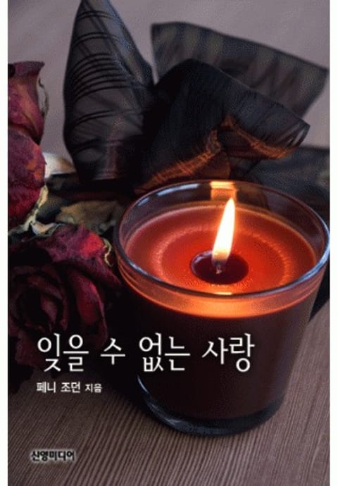 잊을 수 없는 사랑 표지 이미지