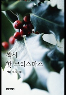 섹시 핫 크리스마스