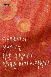 미네르바의 부엉이는 황혼 무렵에야 날개를 펴기 시작한다 표지 이미지