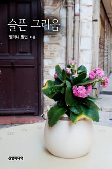 슬픈 그리움