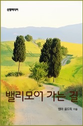 밸리모어 가는 길 표지 이미지