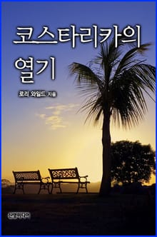코스타리카의 열기