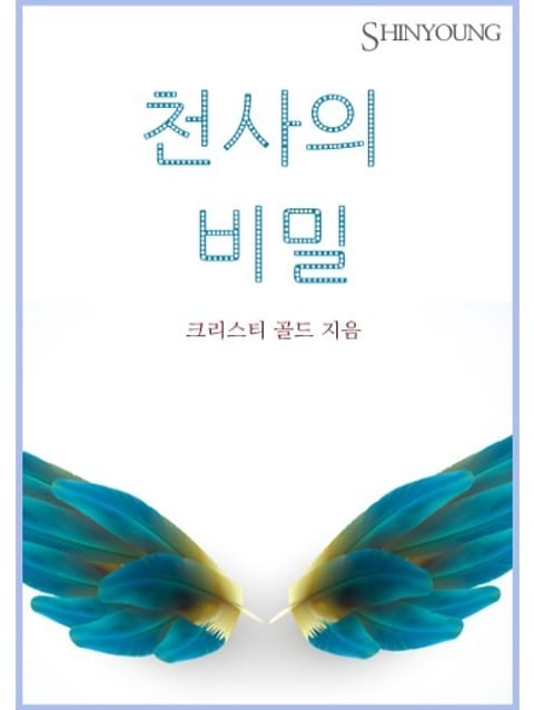 천사의 비밀 표지 이미지