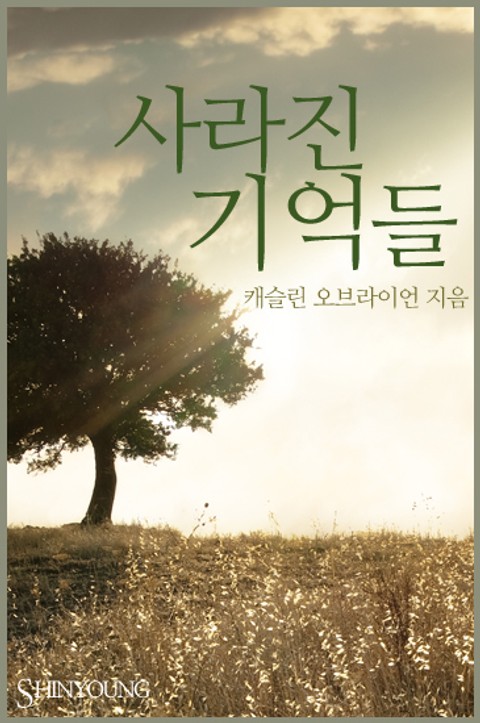사라진 기억들