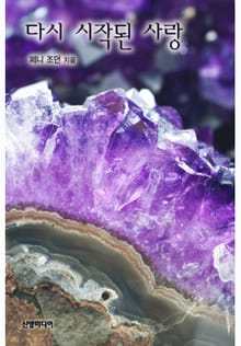 다시 시작된 사랑 (♣ 할리퀸 명작가 시리즈)