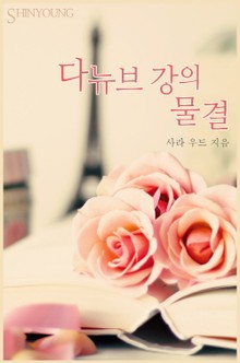 다뉴브 강의 물결