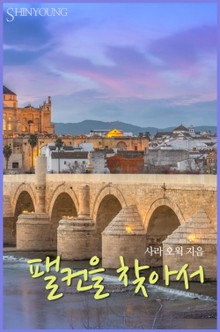 팰컨을 찾아서