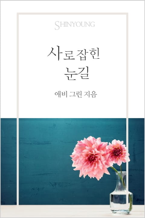 사로잡힌 눈길 표지 이미지