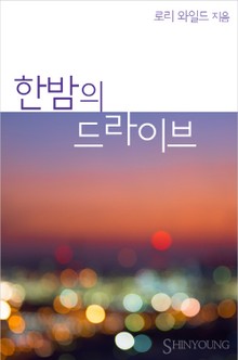 한밤의 드라이브