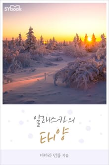 알래스카의 태양