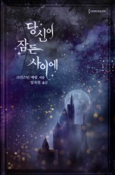 당신이 잠든 사이에 표지 이미지