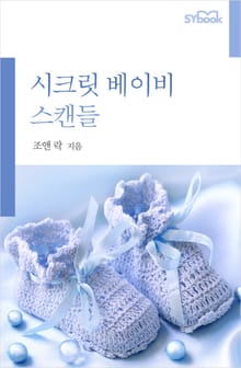 시크릿 베이비 스캔들