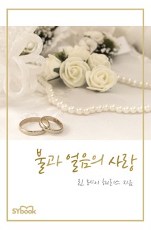 불과 얼음의 사랑