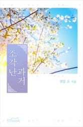 조각난 과거 표지 이미지