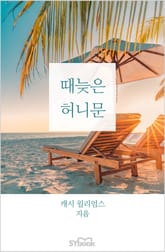 때늦은 허니문 표지 이미지