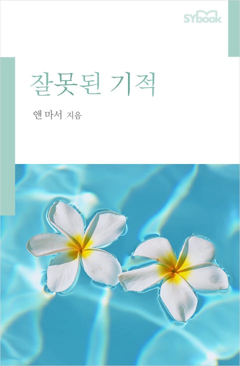 잘못된 기적 표지 이미지