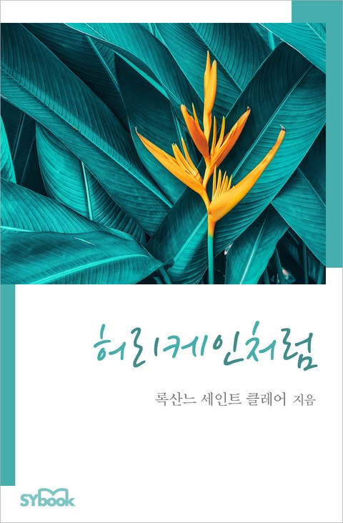 허리케인처럼 표지 이미지