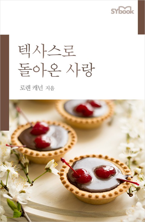 텍사스로 돌아온 사랑 표지 이미지