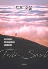 트윈 소울 표지 이미지