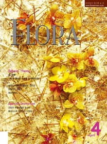 월간 FLORA 2006년 4월호