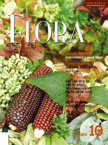 월간 FLORA 2006년 10월호