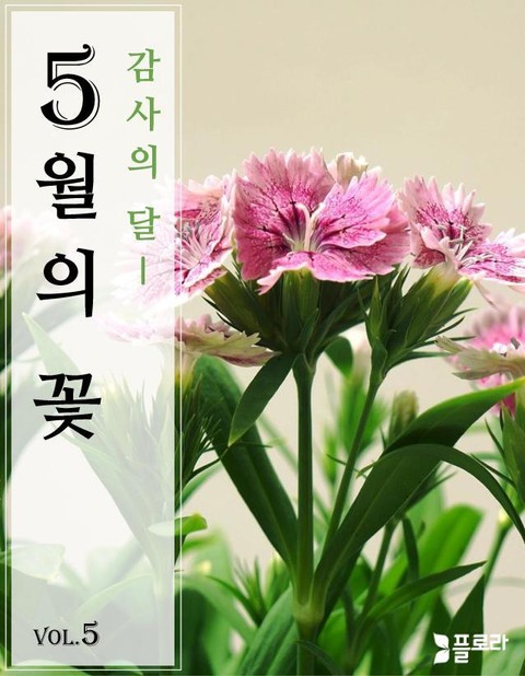 감사의 달 5월의 꽃 vol.5 표지 이미지