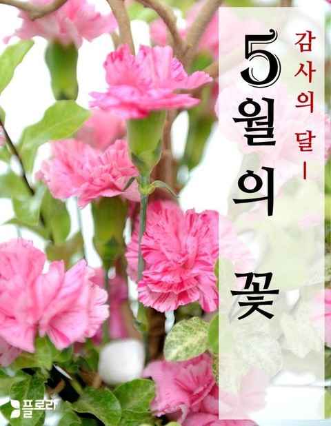 합본 | 감사의 달 5월의 꽃 (vol1~vol5) 표지 이미지