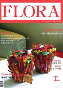 월간 FLORA 2004년 11월호