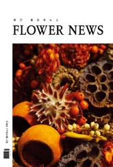 월간 플라워뉴스 3권 표지 이미지
