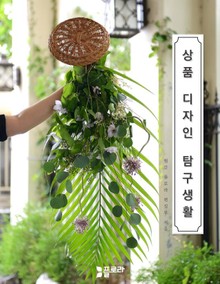 상품 디자인 탐구 생활