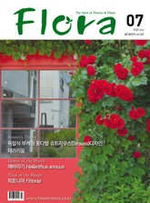 월간 FLORA 2020년 07월호 표지 이미지