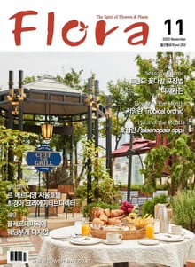 월간 FLORA 2020년 11월호