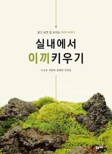 실내에서 이끼키우기