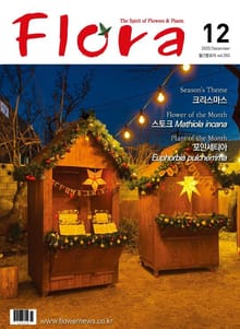 월간 FLORA 2020년 12월호