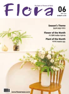 월간 FLORA 2021년 06월호