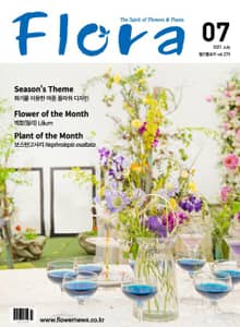 월간 FLORA 2021년 07월호