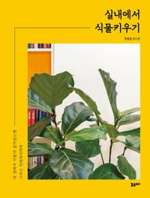 실내에서 식물키우기